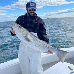 Meet your Posher, Steven